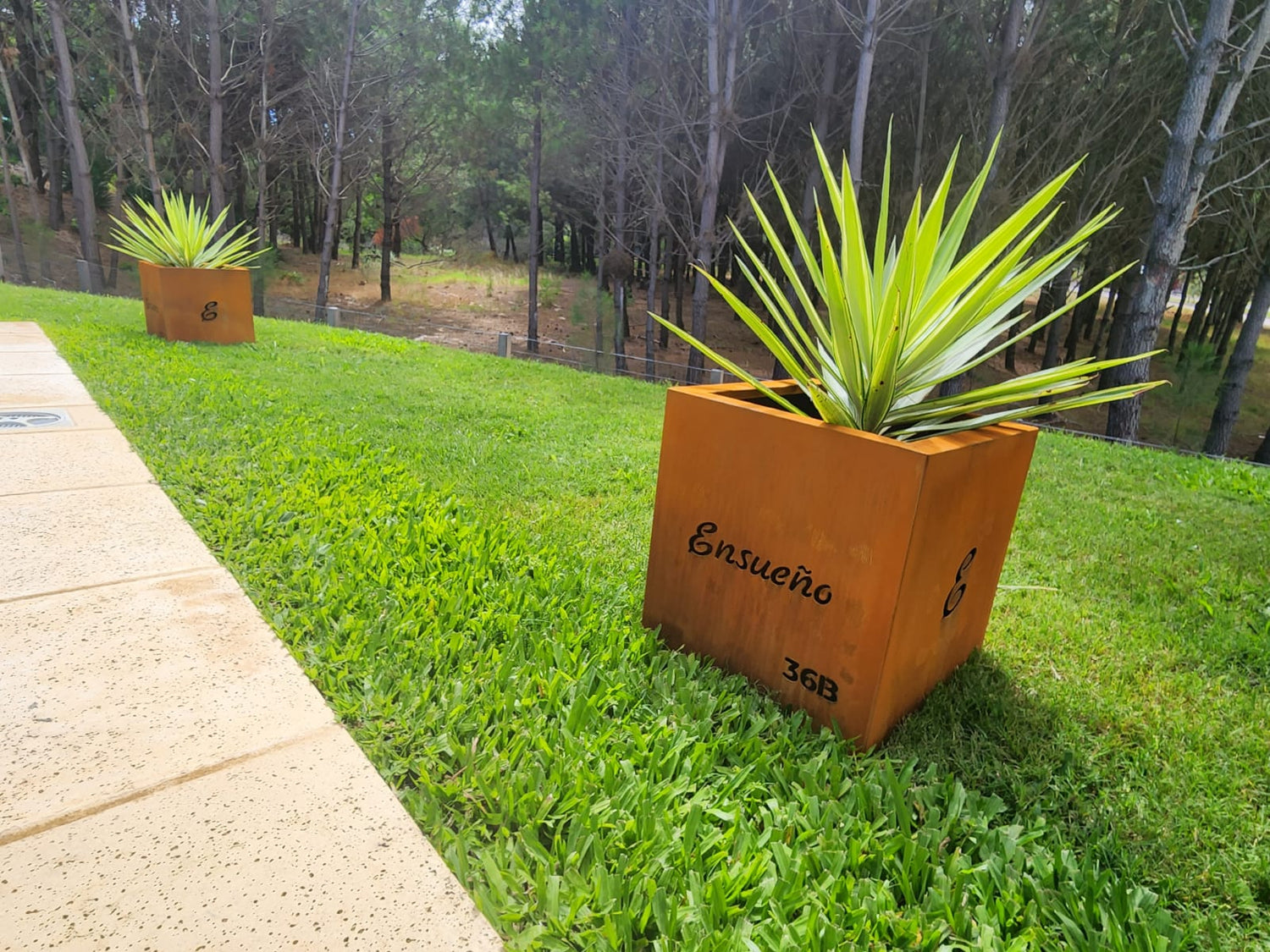 maceta acero corten