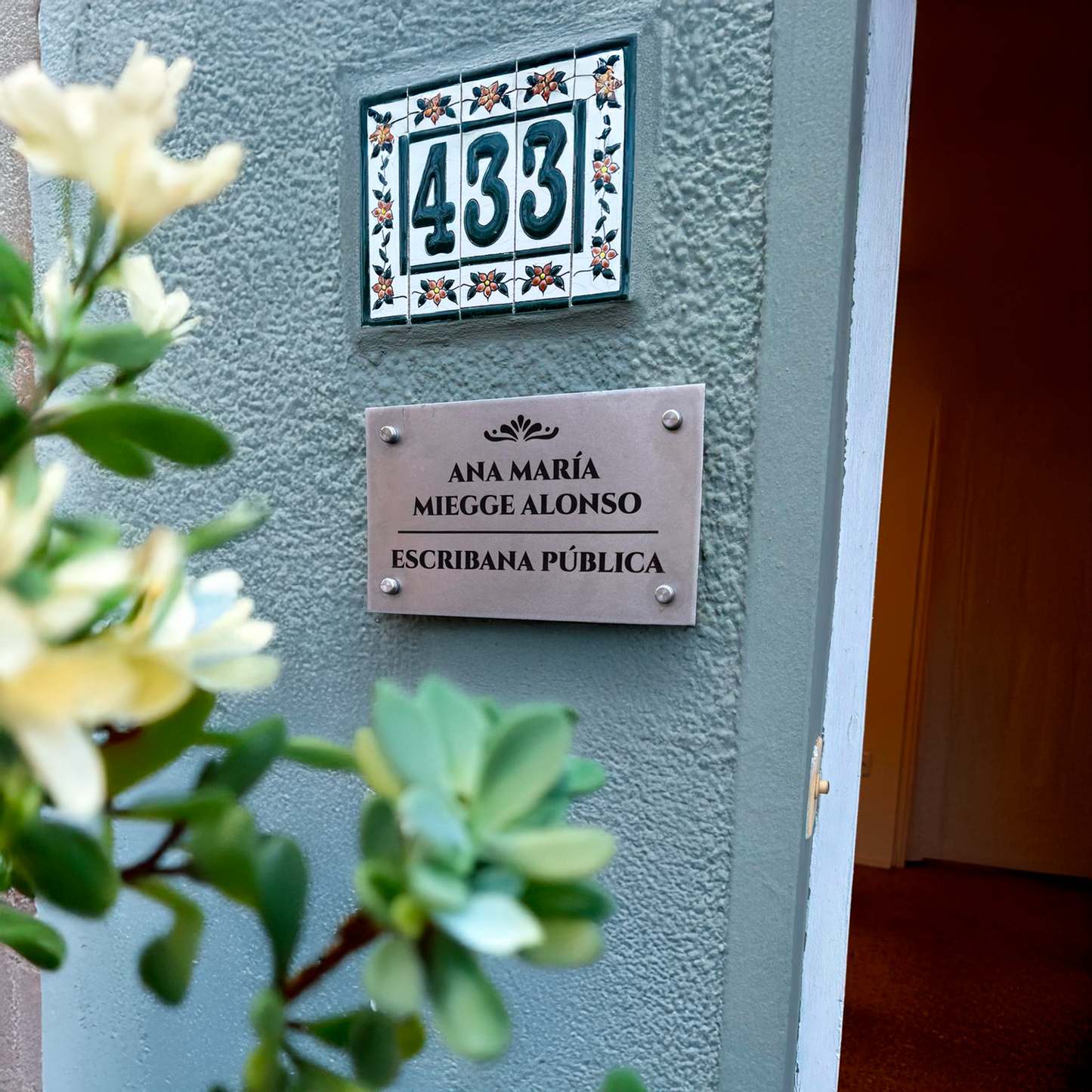 Placa Profesional Grabada en Acero Inoxidable
